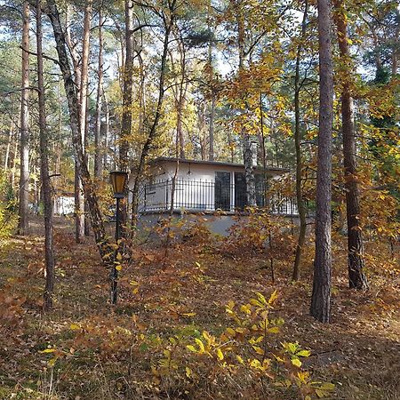 Hausmeise Heidesee Екстериор снимка